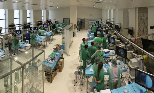 El Servicio de Neurocirugía del Clínico de València organiza un curso práctico referente en la formación neuroquirúrgica