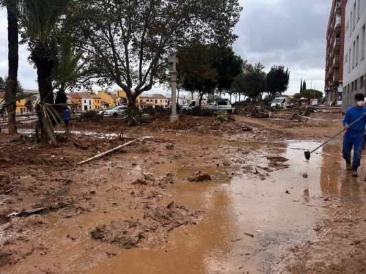 Una catedrática dice a la jueza de la Dana que la alerta 