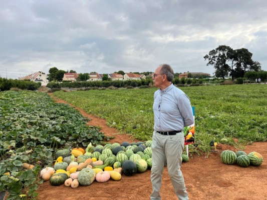 Agricultura regenerativa, tecnología y sostenibilidad: el modelo agrícola del Centro de Experiencias Cajamar