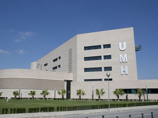La UMH abre este viernes la matriculación de sus 32 grados y cinco dobles grados para el curso 2025-2026