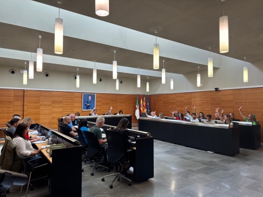 San Vicente modifica las ordenanzas fiscales; entrarán en vigor el próximo año
