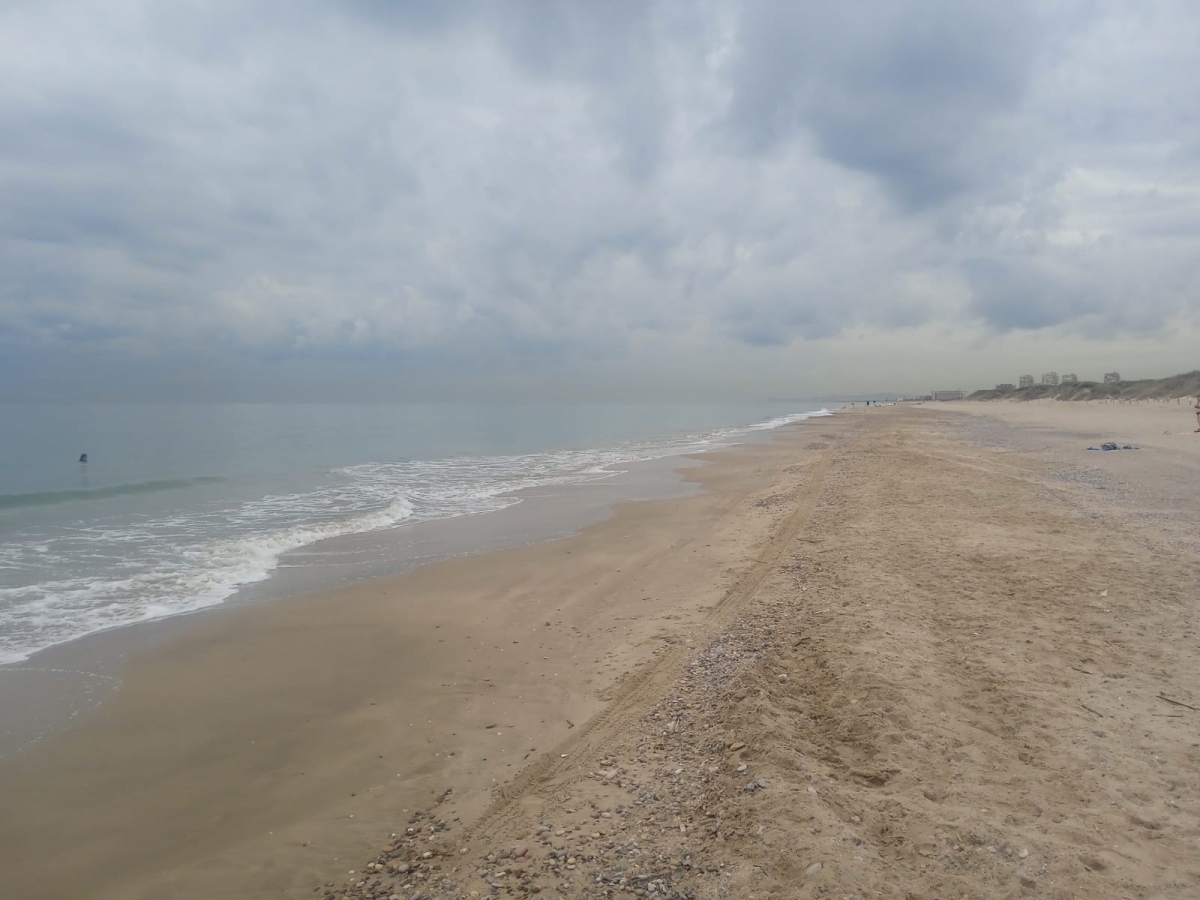 Reabren dos playas de Sueca y una de Altea, pero siguen cerradas Motilla y Callosa d'En Sarriá