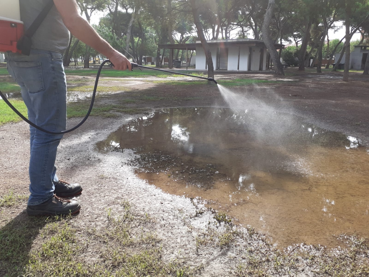 Castelló refuerza los tratamientos para prevenir la proliferación de mosquitos tras las últimas lluvias