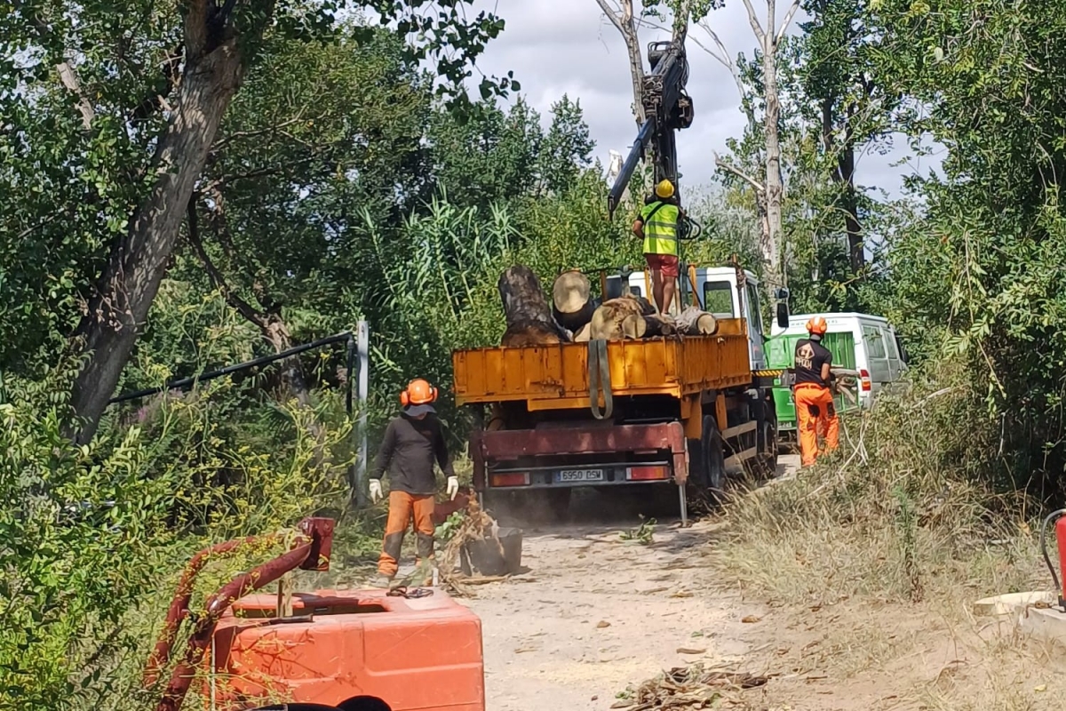 Burriana acomete trabajos de poda y retirada de material seco en el Clot para prevenir incendios