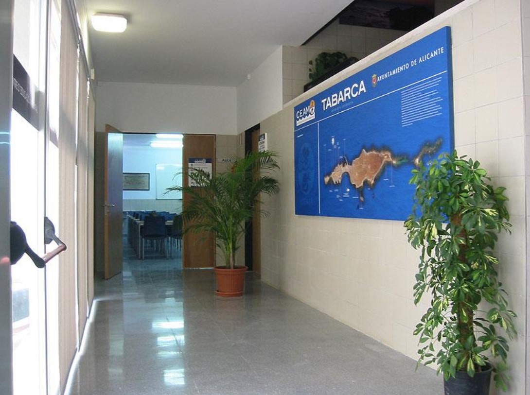 Cuatro empresas se disputan la gestión del centro ambiental de Tabarca