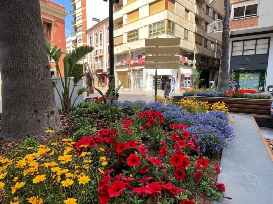 La aceptación de la ayuda europea de 3,5 millones para renaturalizar Castelló pasará por el pleno