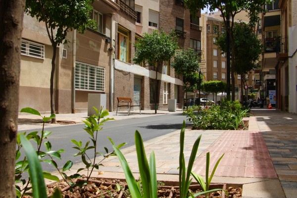 La implantación de la Zona de Bajas Emisiones incrementa el arbolado en la calle San Francisco
