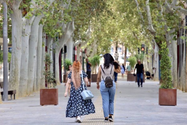 La seguridad y la identidad, las dos grandes preocupaciones que afectan a los murcianos