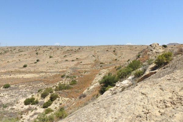 Ahsa también se opone al proyecto de roturación de tierras en la Serra Llarga en Elche: 