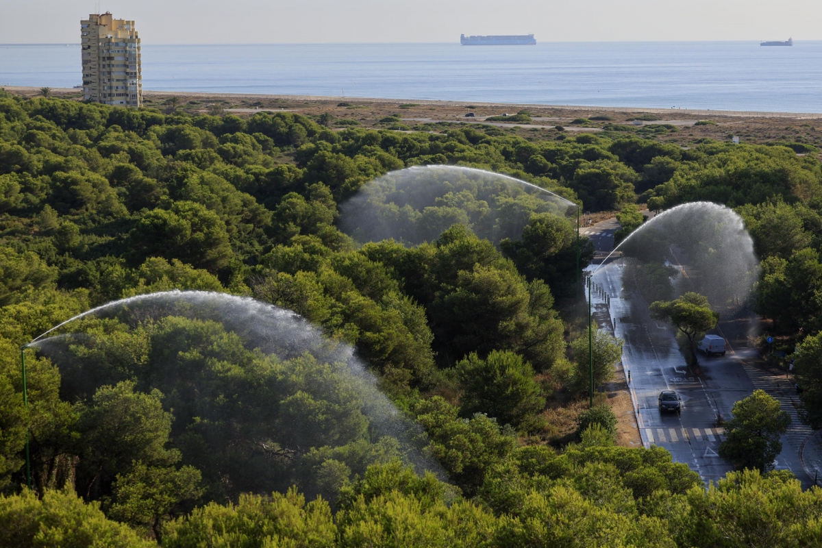 València 'defiende' la Devesa del Saler del riesgo extremo de incendios con ocho cañones de agua