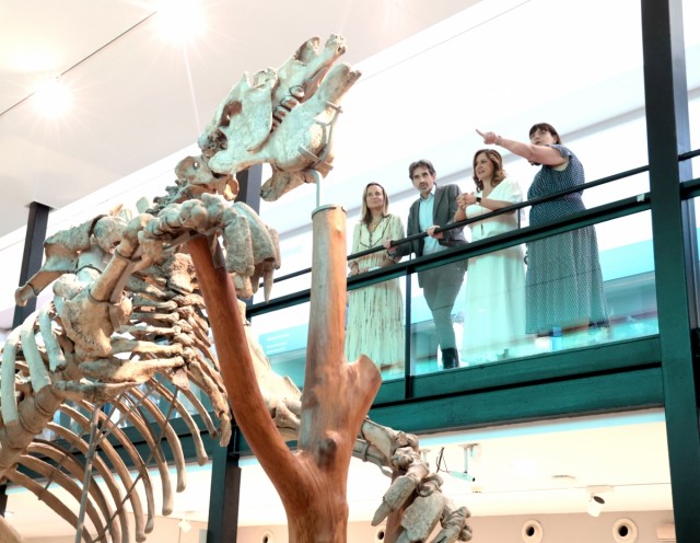 El Museo de Ciencias Naturales de València renueva su propuesta y cambia de nombre: ahora es El Paleontològic