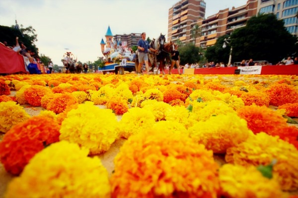 València abre este jueves la inscripción para el sorteo de los palcos de la Batalla de Flores 