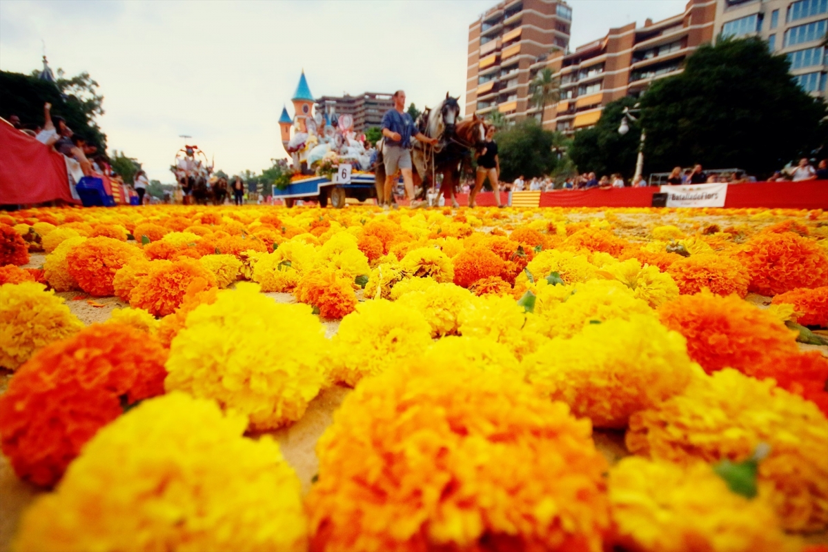  - Foto: AYUNTAMIENTO DE VALENCIA