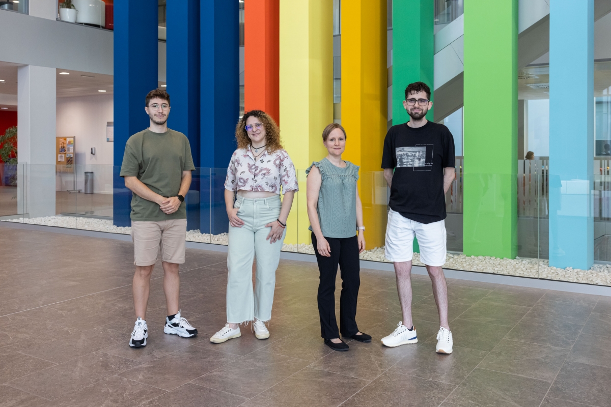 El cerebro y su forma de interpretar las relaciones sociales: un estudio de la UJI revela cómo funciona