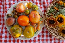El tomate que sabe a tomate