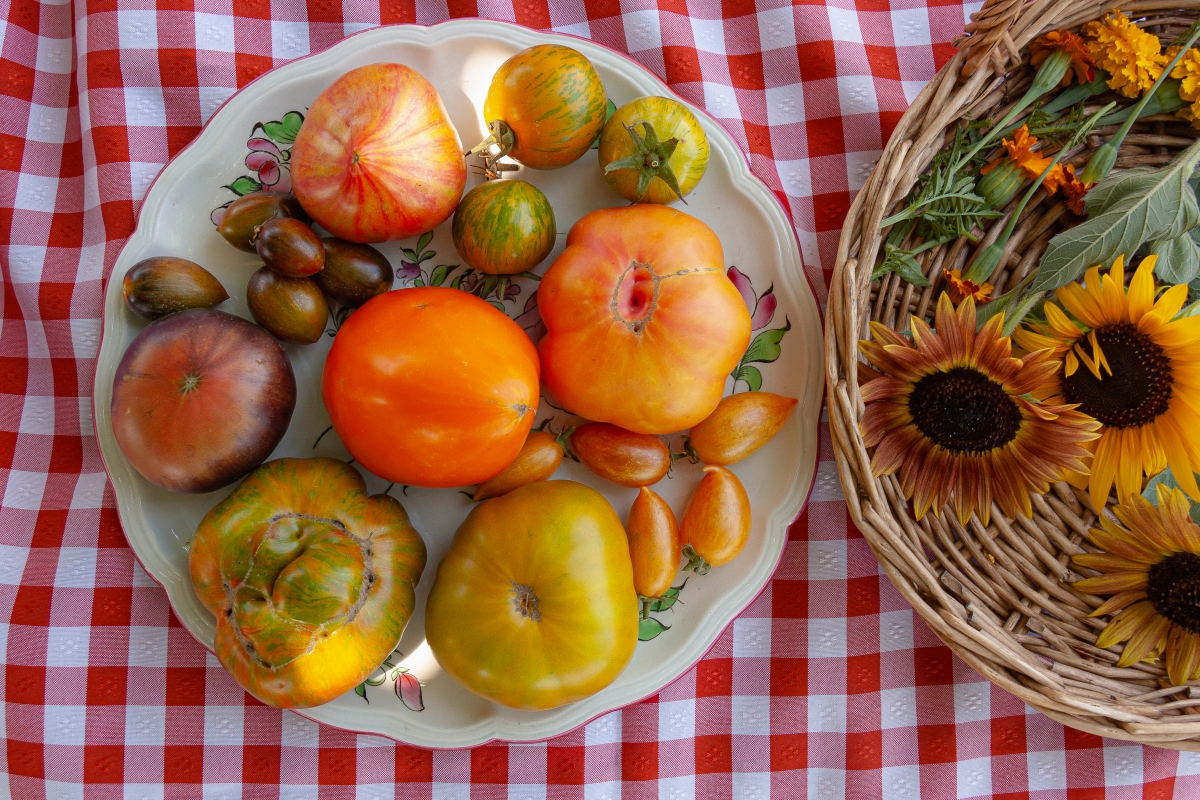 El tomate que sabe a tomate
