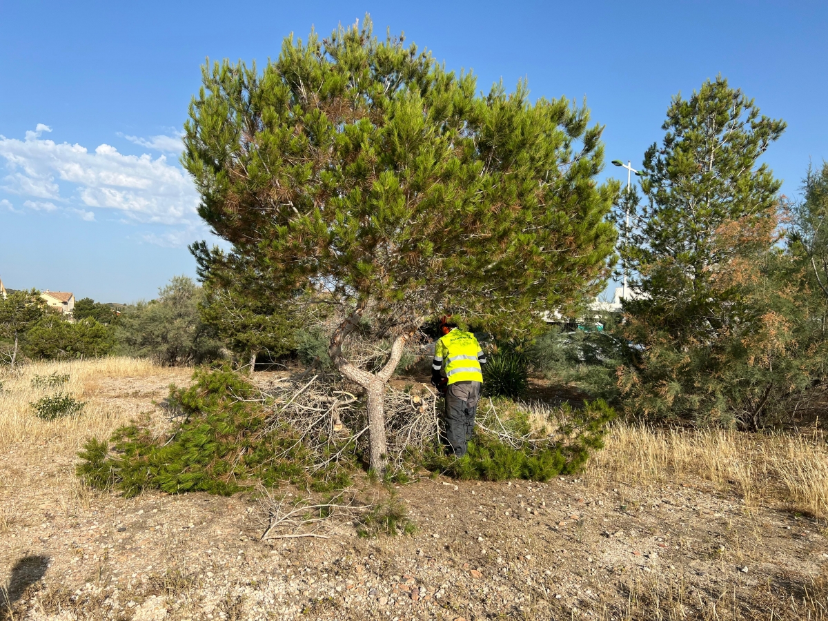 Arrancan las obras del Anillo Verde de Molina de Segura para recuperar el entorno 