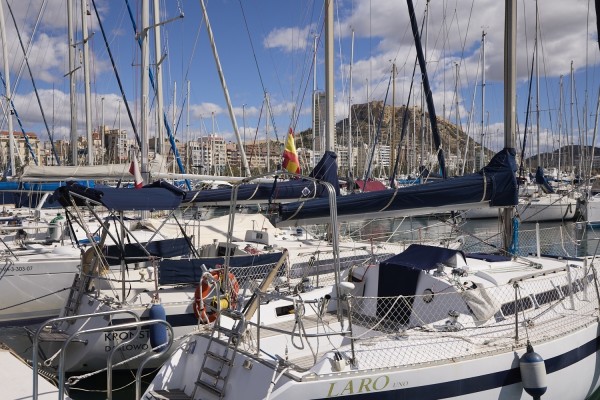 Un grupo de socios del Club de Regatas de Alicante pide a la directiva que no tome más decisiones y convoque una nueva asamblea