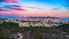 Dos empresas pujan por el millonario contrato de parques y jardines de Benidorm