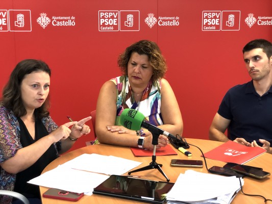 El PSPV plantea compensar la subida de la tasa de basura con una bajada del IBI por la misma cuantía