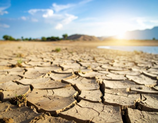 Cuando el agua no llega