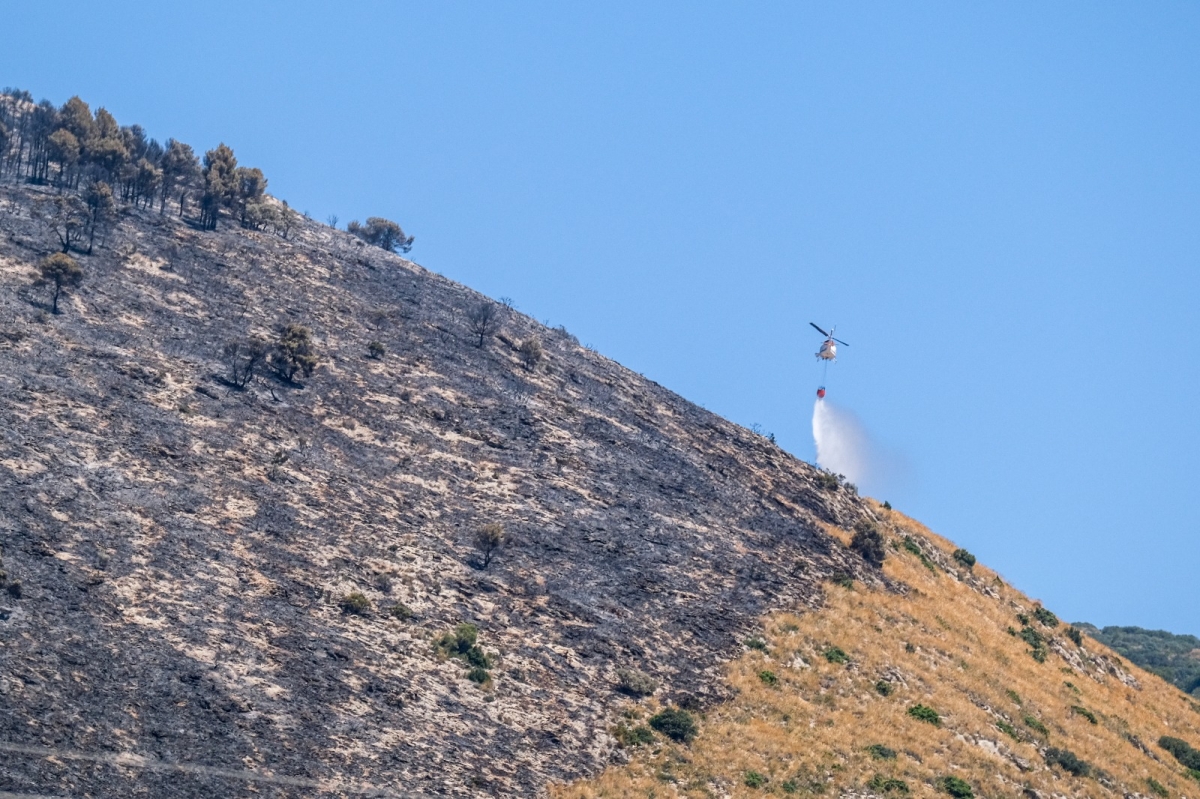 Estabilizado el incendio forestal que ha afectado a la Font Roja: 185 hectáreas, el 80% en el parque natural