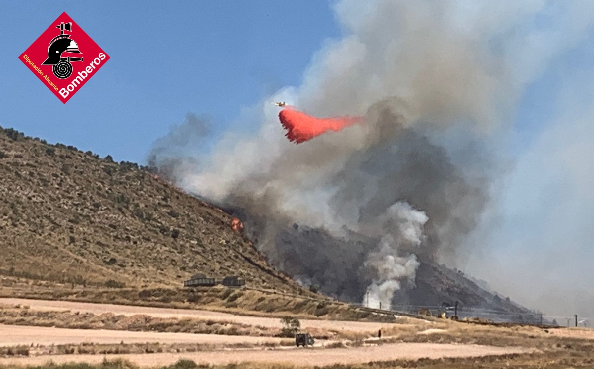 La zona del incendio de La Encina, en Villena. - Foto: Consorcio de Bomberos La zona del incendio de La Encina, en Villena.