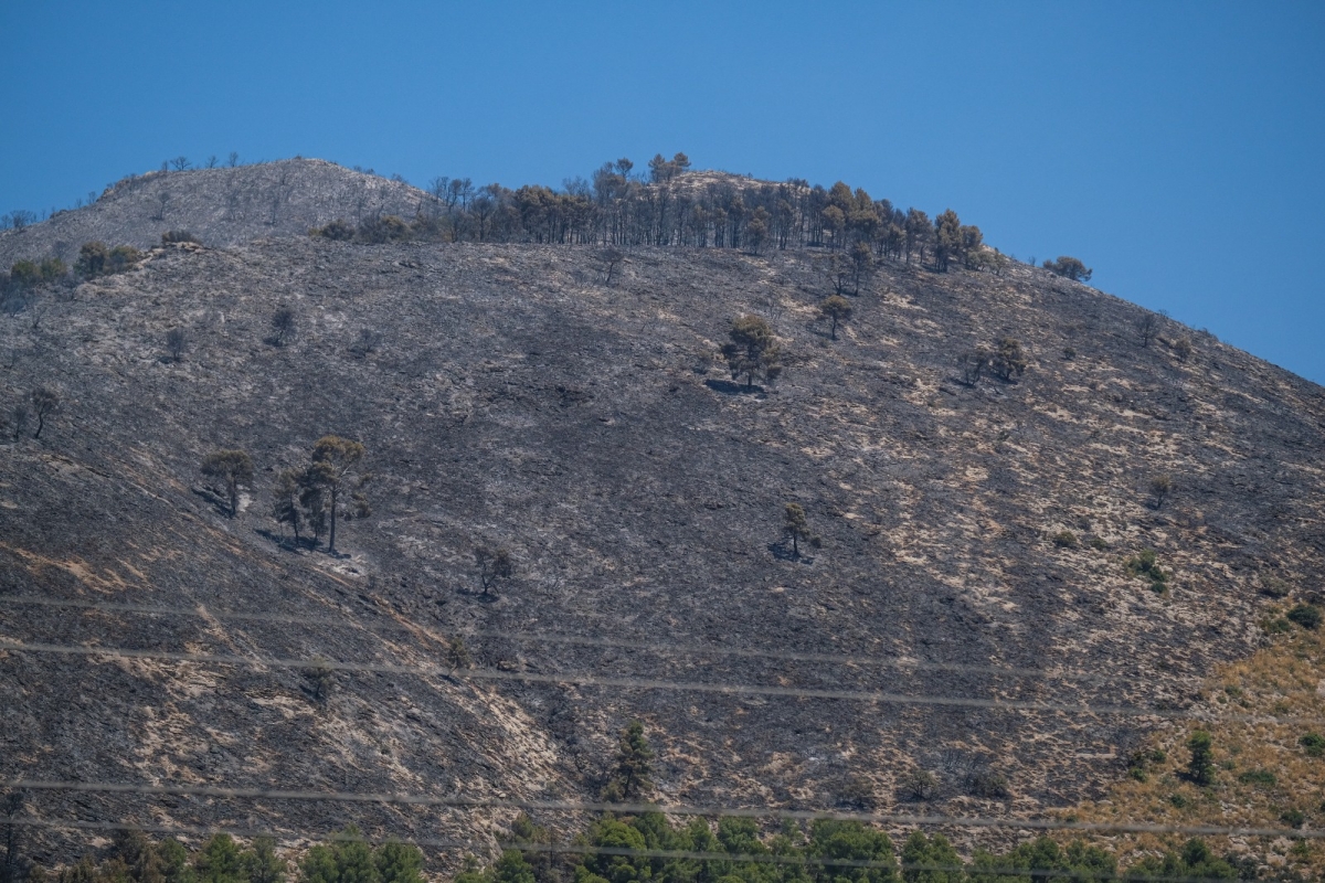 Controlado el incendio en la Font Roja 53 horas después de su inicio y quemar un 6,4% del parque natural