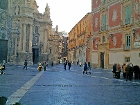 SHS, Greenaall y Ccontrol modernizarán el padrón de la Región por cerca de un millón de euros