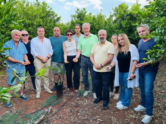 Vox Castellón apoya declarar zona catastrófica los municipios de Castellón afectados por la Dana
