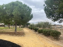 El Campello adjudica el mantenimiento de jardines de Muchavista y Zona Norte durante cuatro años