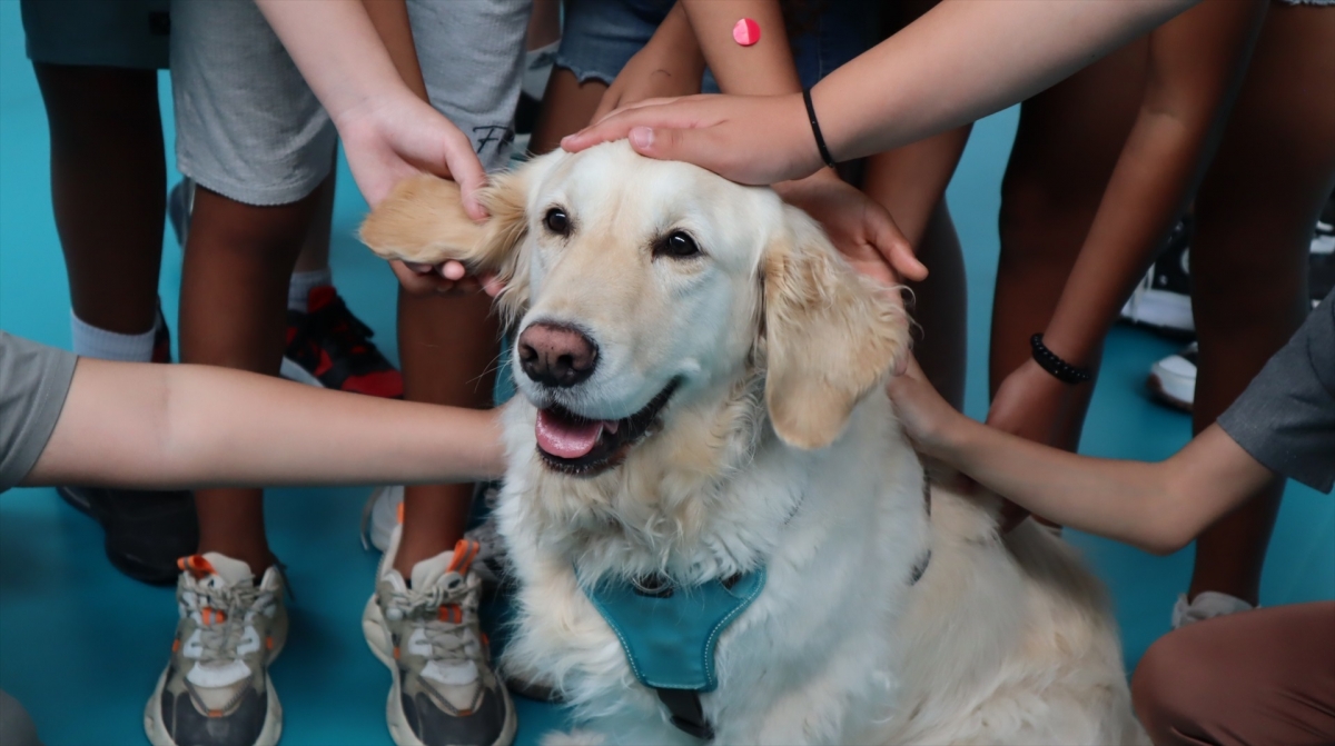  - Foto: FUNDACIÓN ROYAL CANIN