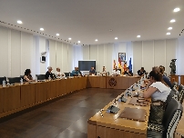 Vila-real funda el Consejo del Deporte para impulsar la participación y el desarrollo de las disciplinas