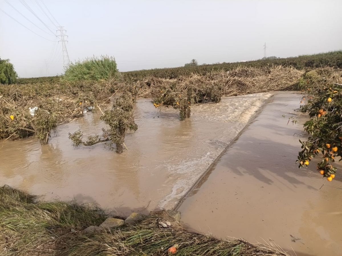 Comunitat Valenciana | Agricultores afectados por la Dana piden "una compensación justa" por el cambio de parcelas a Dominio Público Hidráulico