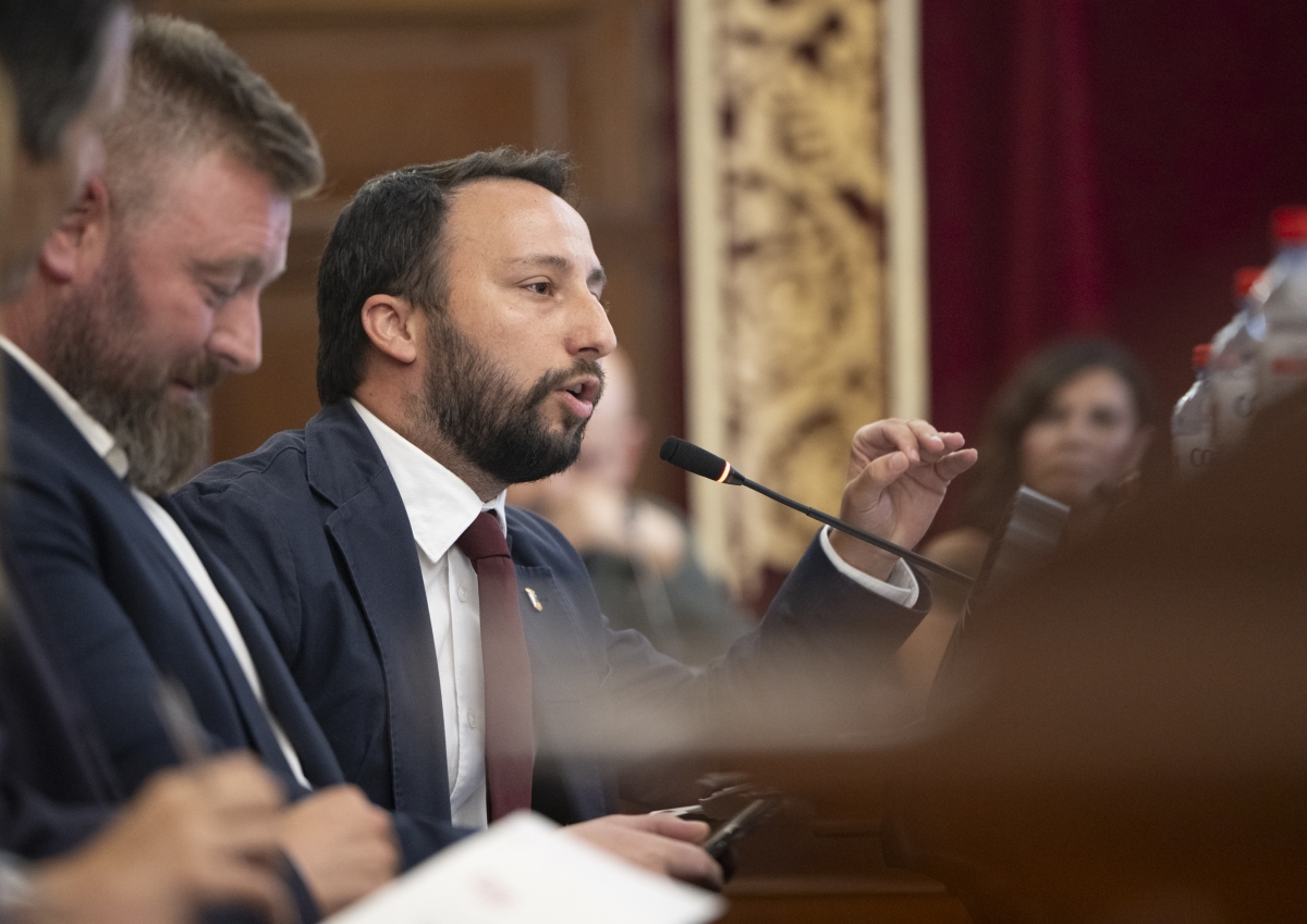 El diputado popular Sergio Toledo, durante una de sus intervenciones.