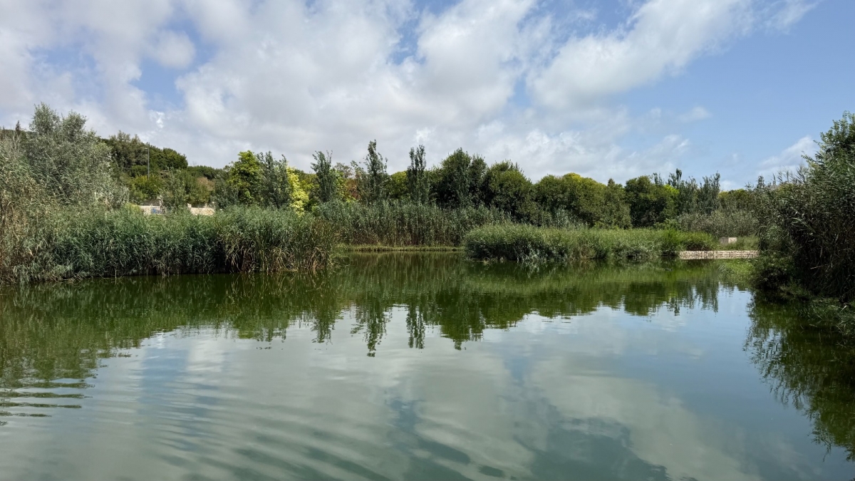 Hidraqua celebra el décimo aniversario del parque inundable La Marjal como referente internacional anti-inundaciones