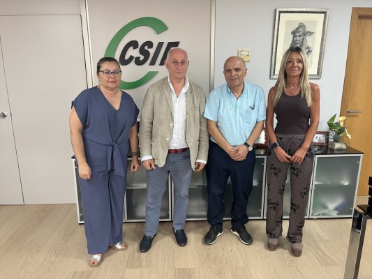 CSIF y la Asociación de Inspección Sanitaria advierten de 