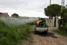 Castelló intensifica el plan de choque contra los mosquitos: refuerza la fumigación en el Grau