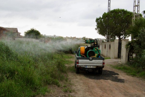 Castelló intensifica el plan de choque contra los mosquitos: refuerza la fumigación en el Grau