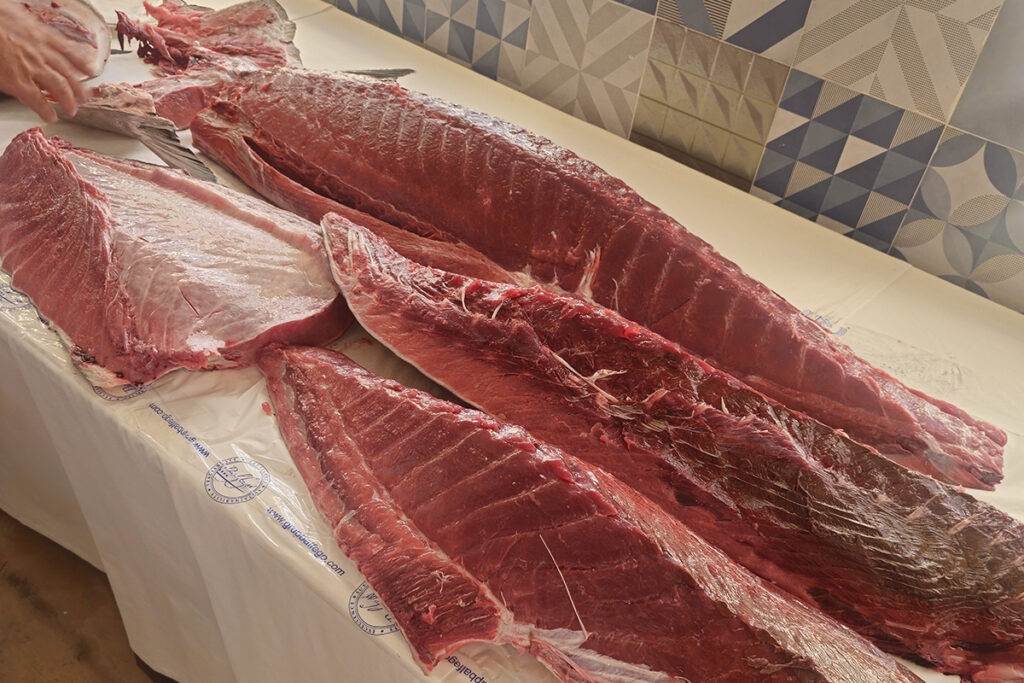 Distintas partes del atún - Distintas partes del atún