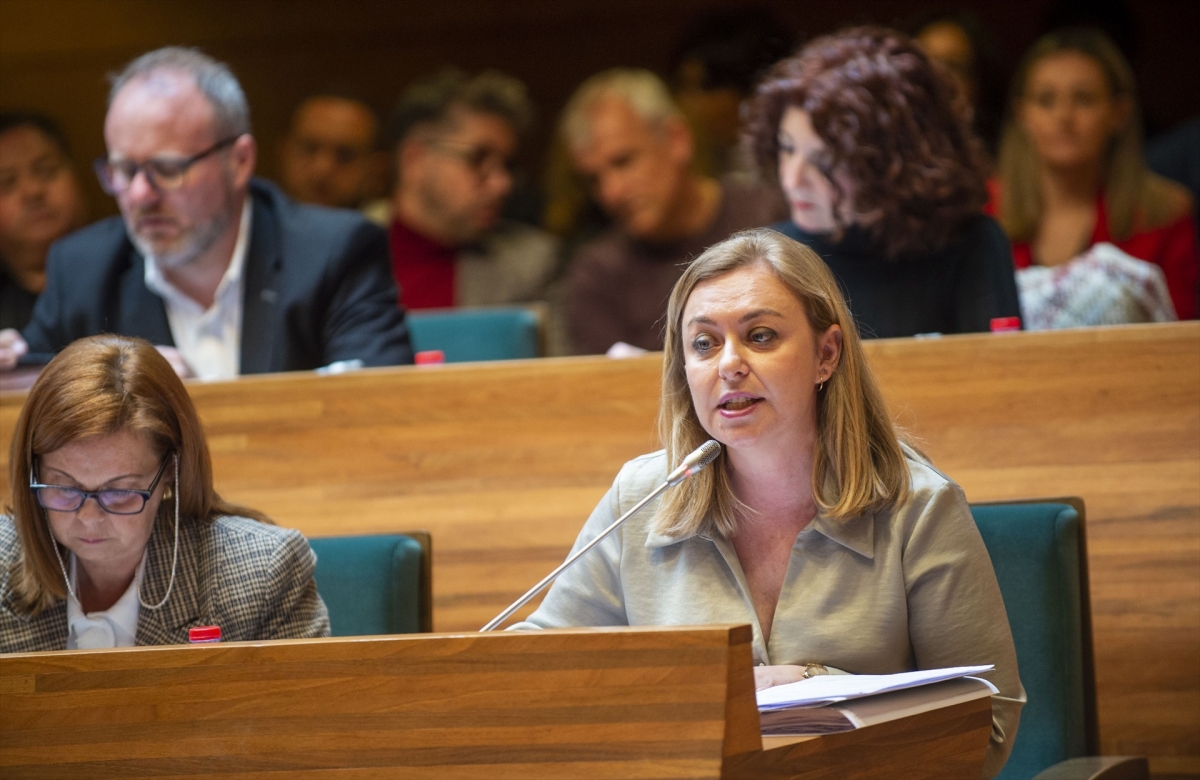 Comarca y empresa | El Pleno de la Diputación de Valencia aprueba pedir a Les Corts la rebaja del umbral electoral al 3%