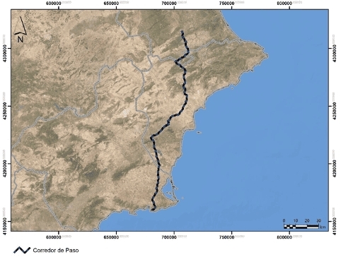 El Ministerio diseña un gasoducto de hidrógeno de Valencia a Cartagena que afectará a espacios protegidos