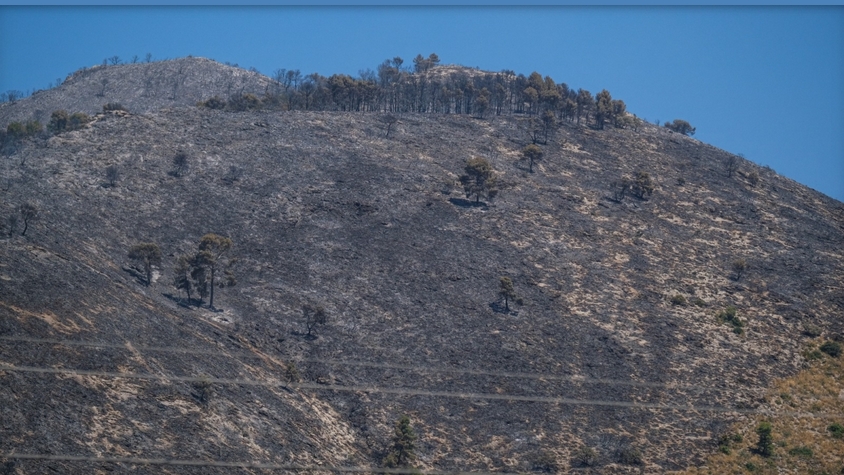 Extinguido el incendio que ha afectado a la Font Roja seis días después de declararse por una posible imprudencia