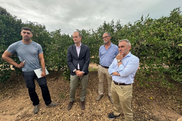 Los agricultores afectados por el pedrisco de julio recibirán 20 millones de euros del seguro agrario