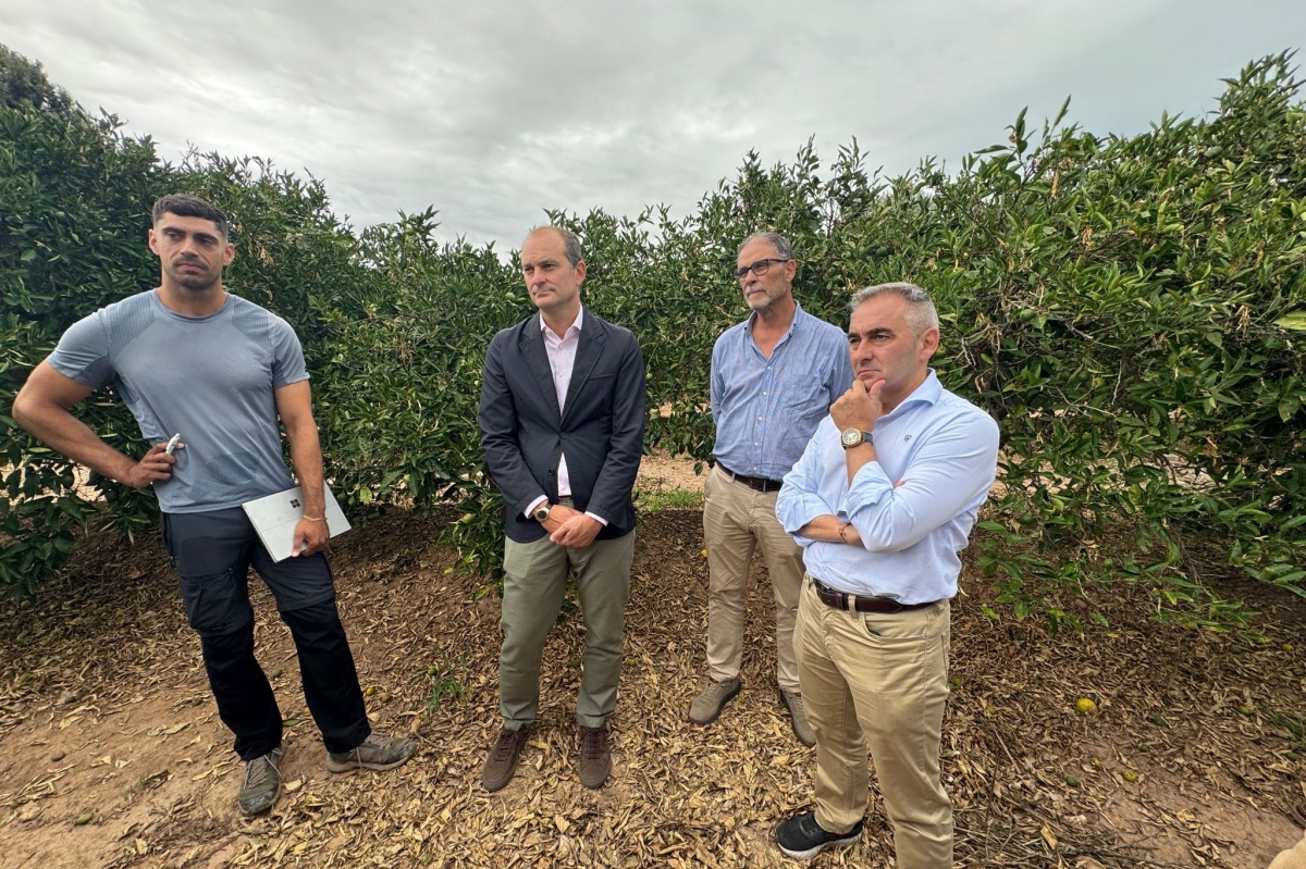 Imagen de la visita de Barrachina a Burriana - 