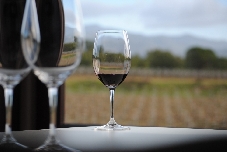 El vino impulsa la nueva propuesta turística de Petrer este otoño