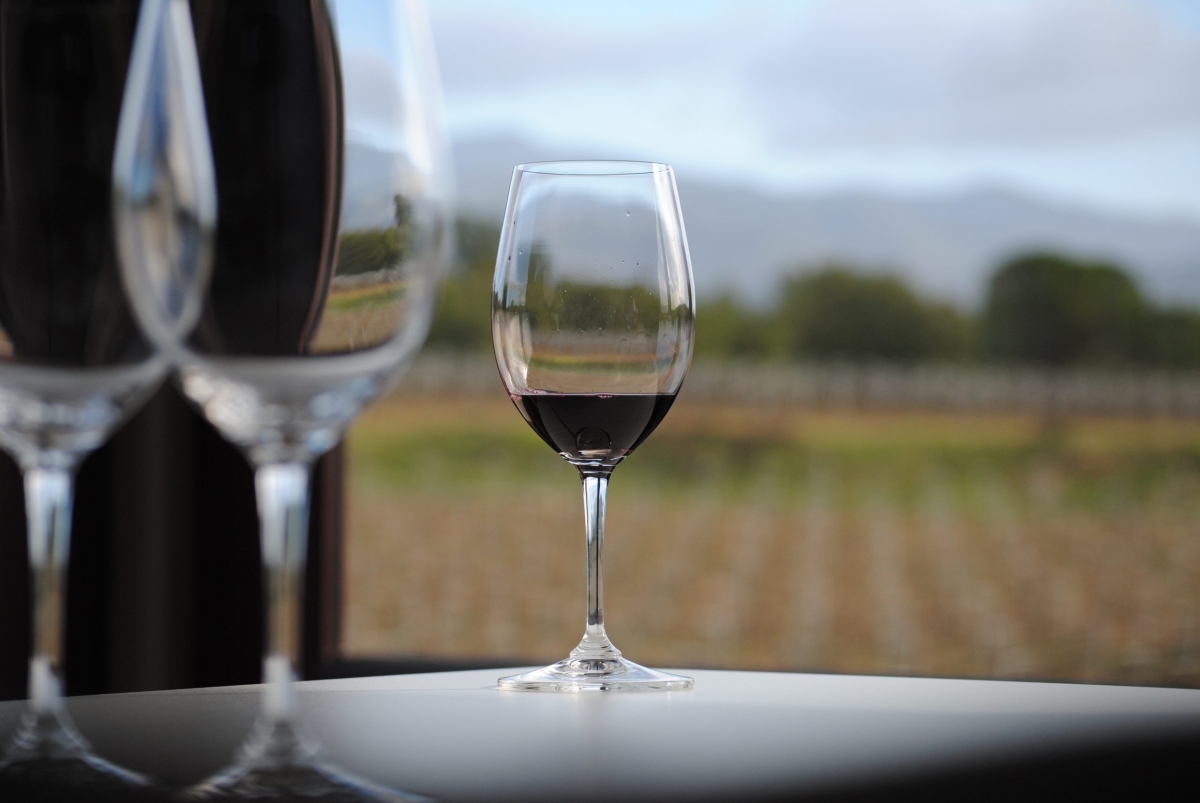 5 barricas | El vino impulsa la nueva propuesta turística de Petrer este otoño