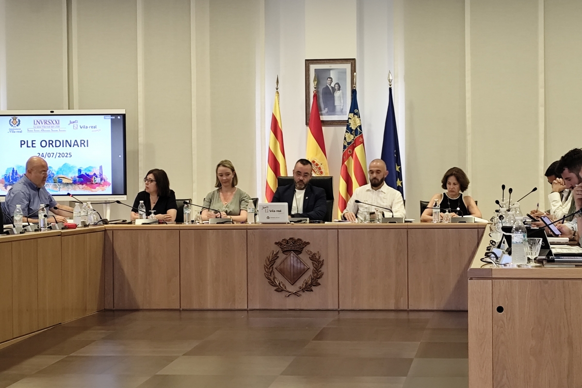 Imatge del ple d'aquest dijous - 