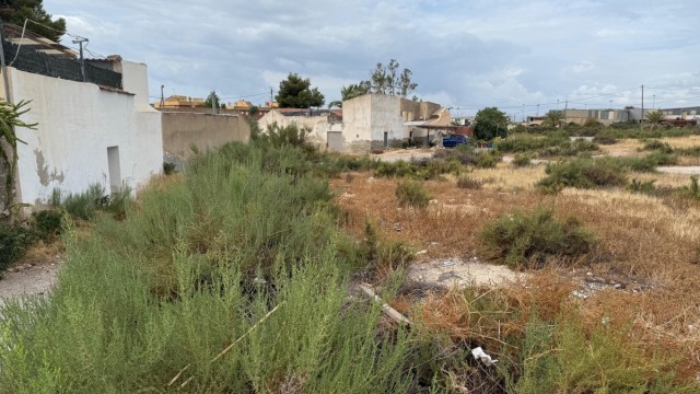 El PSOE de Elche advierte de 