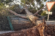 De retirada d'obstacles a senyalització: Nules valora les actuacions després del temporal de pedra